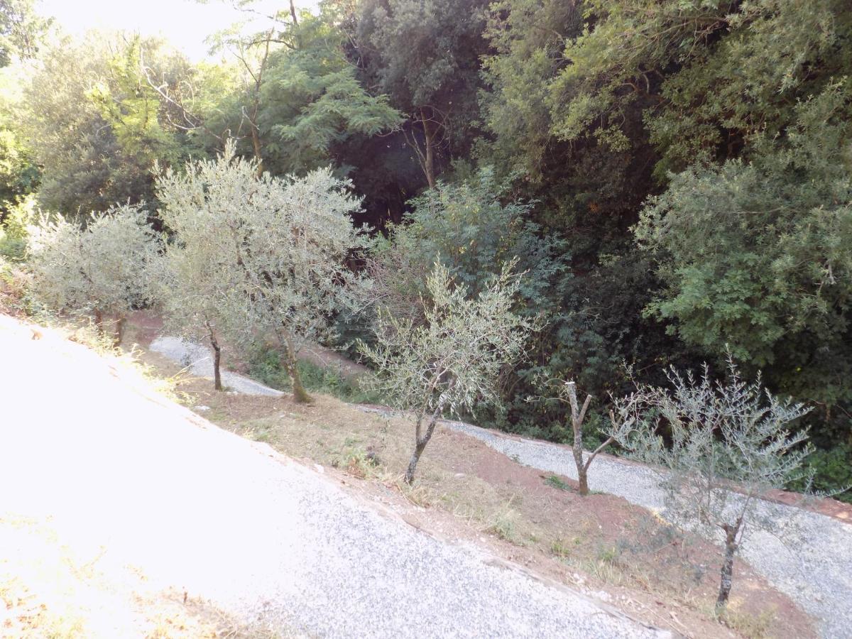 Villa Fattoria Ceragioli Camaiore Exterior foto