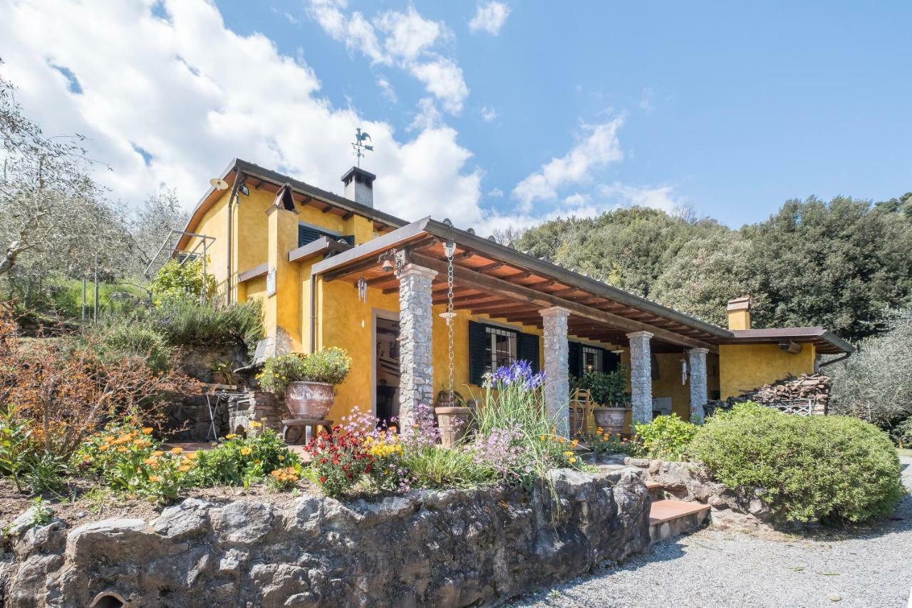 Villa Fattoria Ceragioli Camaiore Exterior foto